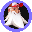 coin_image