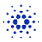 coin_image