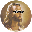 coin_image