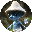 coin_image
