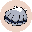coin_image