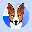 coin_image