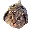 coin_image