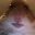 coin_image