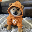 coin_image