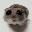 coin_image