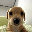 coin_image