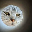 coin_image