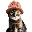 coin_image