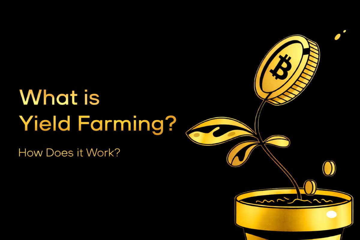 What is yield farming