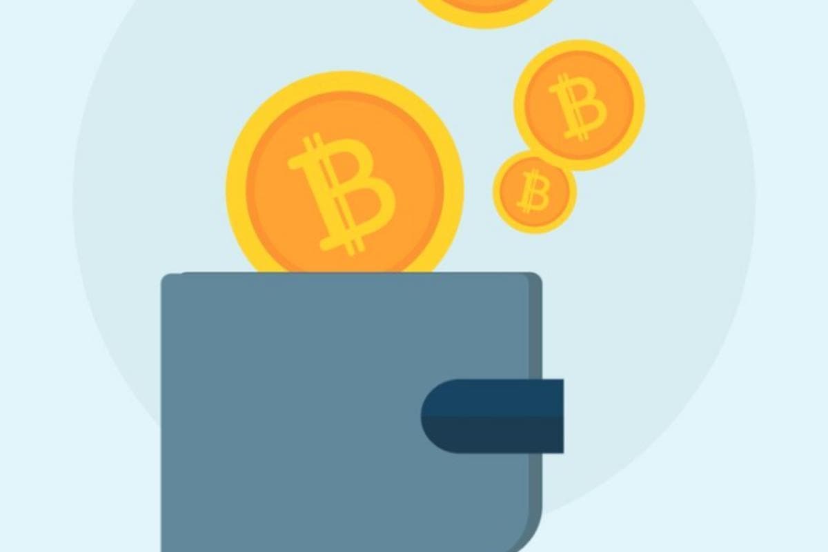 What is a cryptocurrency wallet?